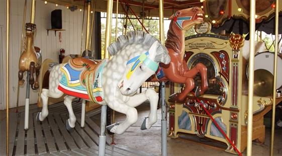 A group of camels in a room
Description automatically generated with low confidence