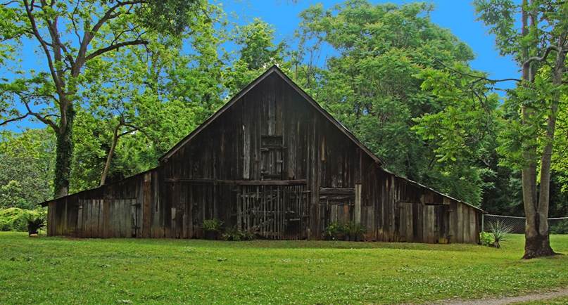 A picture containing tree, grass, outdoor, building

Description automatically generated