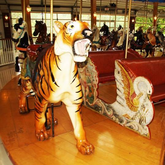 A tiger on a merry go round
Description automatically generated