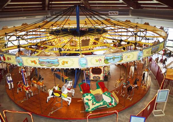 A display in a store
Description automatically generated