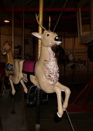 A picture containing indoor, small, sitting, cat

Description automatically generated