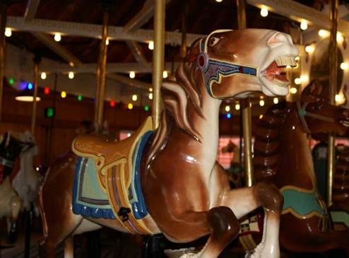 A close-up of a horse
Description automatically generated