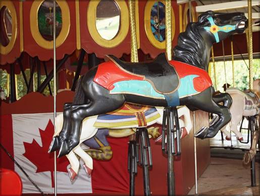 A close-up of a horse

Description automatically generated with medium confidence