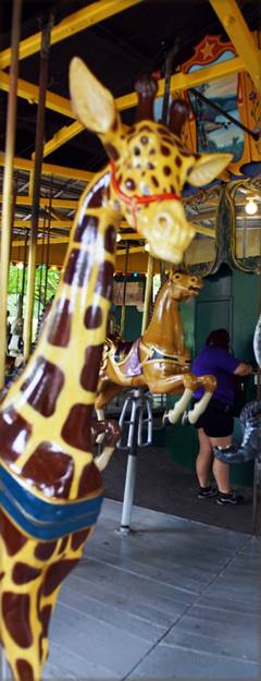 A giraffe on a merry go round

Description automatically generated with medium confidence