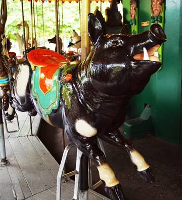 A pig on a merry go round

Description automatically generated with medium confidence
