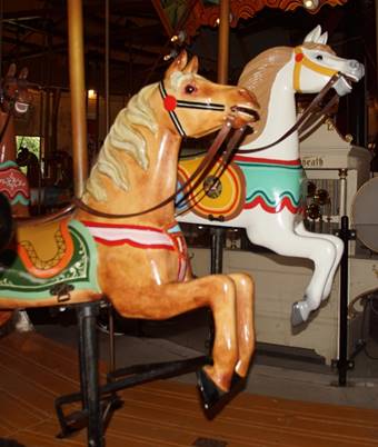 A close-up of a horse

Description automatically generated with low confidence