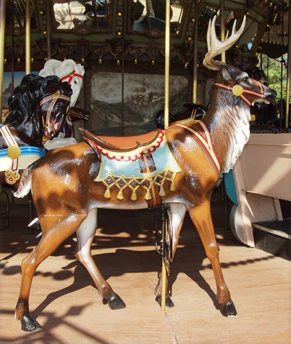 A close-up of a horse
Description automatically generated