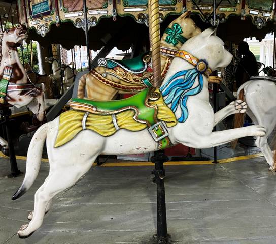 A horse on a merry go round

AI-generated content may be incorrect.