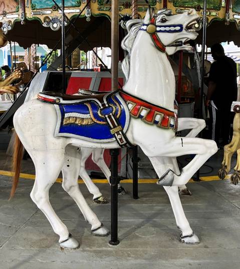 A white horse with a blue and red saddle

AI-generated content may be incorrect.