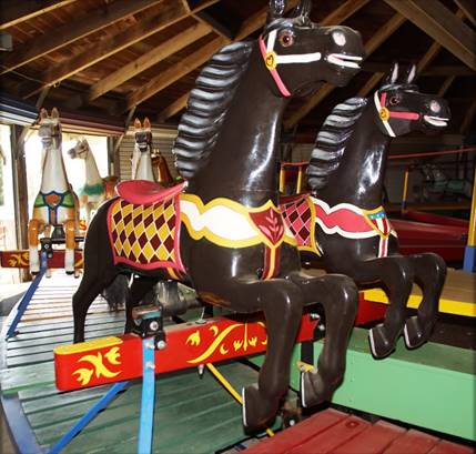 A close-up of a horse

Description automatically generated