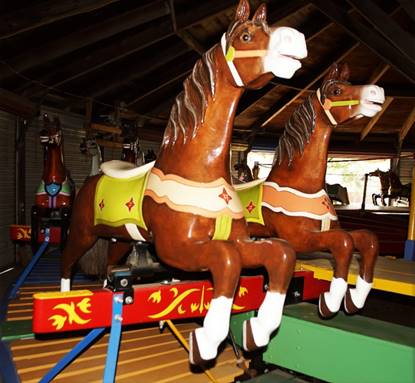 A horse on a carousel

Description automatically generated with medium confidence