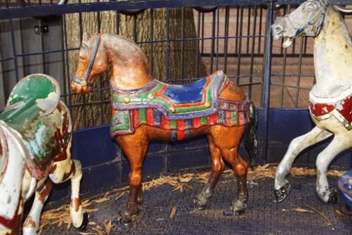 A close up of a horse

Description automatically generated