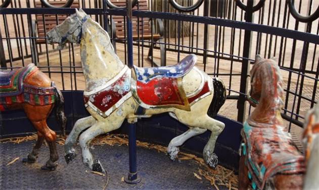 A picture containing dog, fence, ground, animal

Description automatically generated