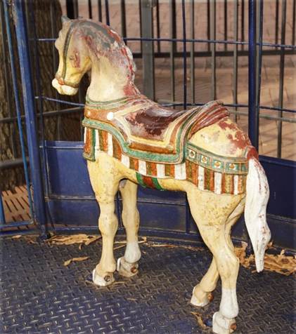 A picture containing fence, floor, animal, ground

Description automatically generated