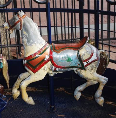 A close up of a horse

Description automatically generated