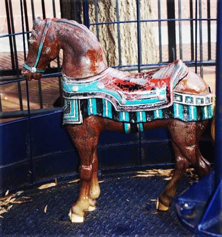 A person sitting in a chair with a horse

Description automatically generated