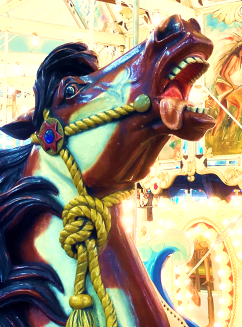 A horse with a rope on its head

Description automatically generated